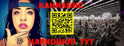 стаф Будённовск
