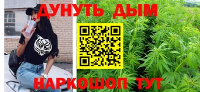 стаф Будённовск