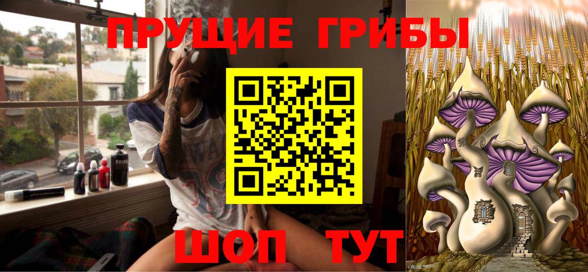 Псилоцибиновые грибы GOLDEN TEACHER Мурманск